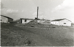 Bélyegkép