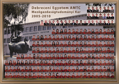 Bélyegkép