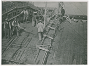 Bélyegkép