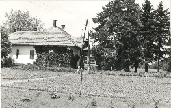 Bélyegkép