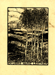 Bélyegkép