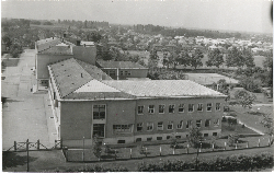 Bélyegkép