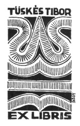 Bélyegkép