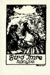 Bélyegkép