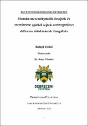 Bélyegkép