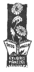 Bélyegkép