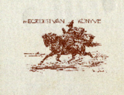 Bélyegkép