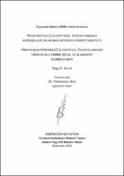 Bélyegkép