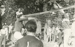 Bélyegkép