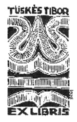 Bélyegkép