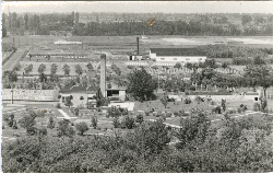 Bélyegkép