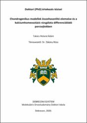 Bélyegkép